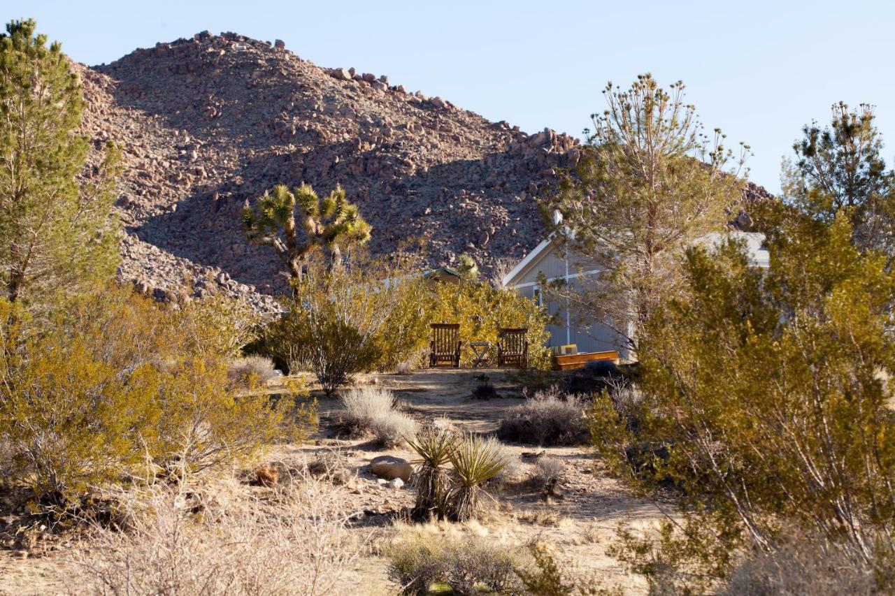 @ Marbella Lane - 10 Acres Oasis Desert Retreat! โจชัวทรี ภายนอก รูปภาพ