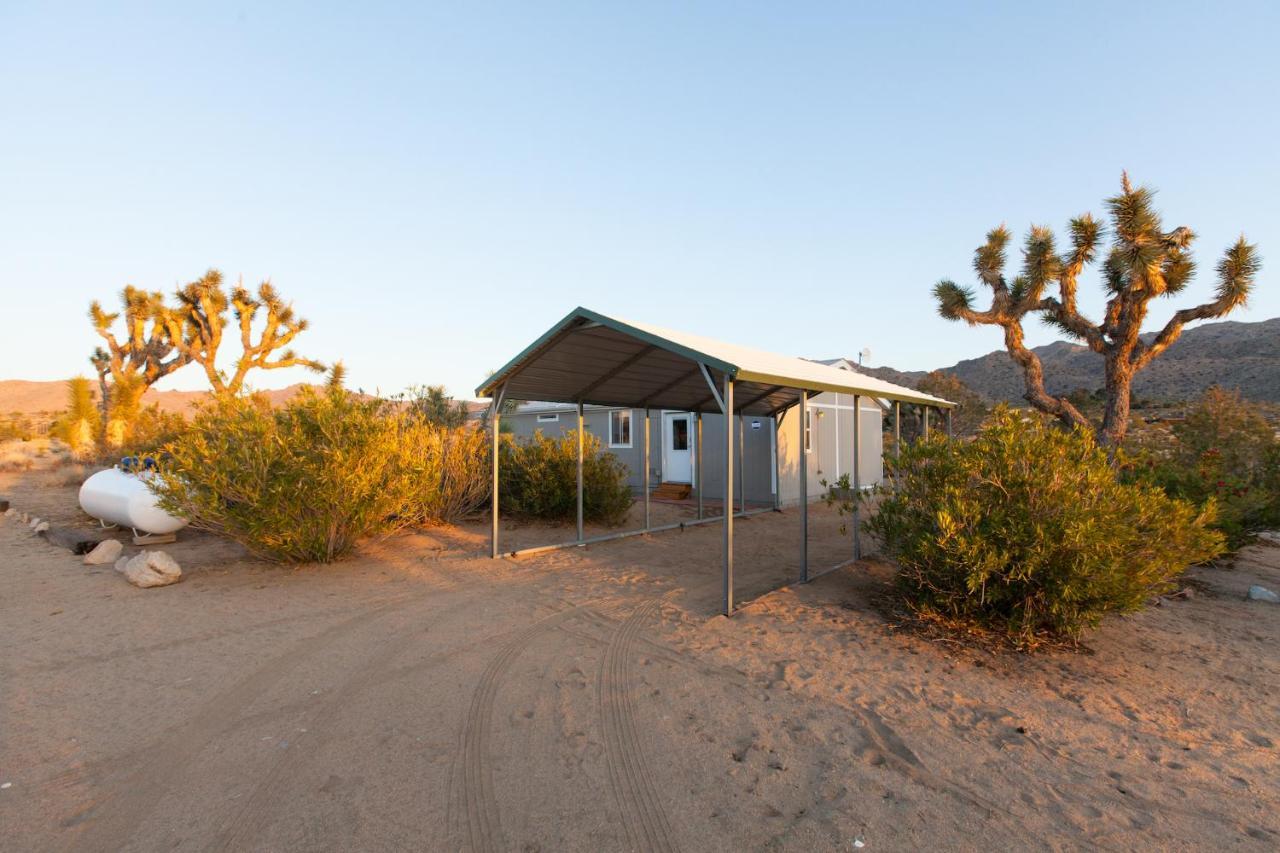 @ Marbella Lane - 10 Acres Oasis Desert Retreat! โจชัวทรี ภายนอก รูปภาพ